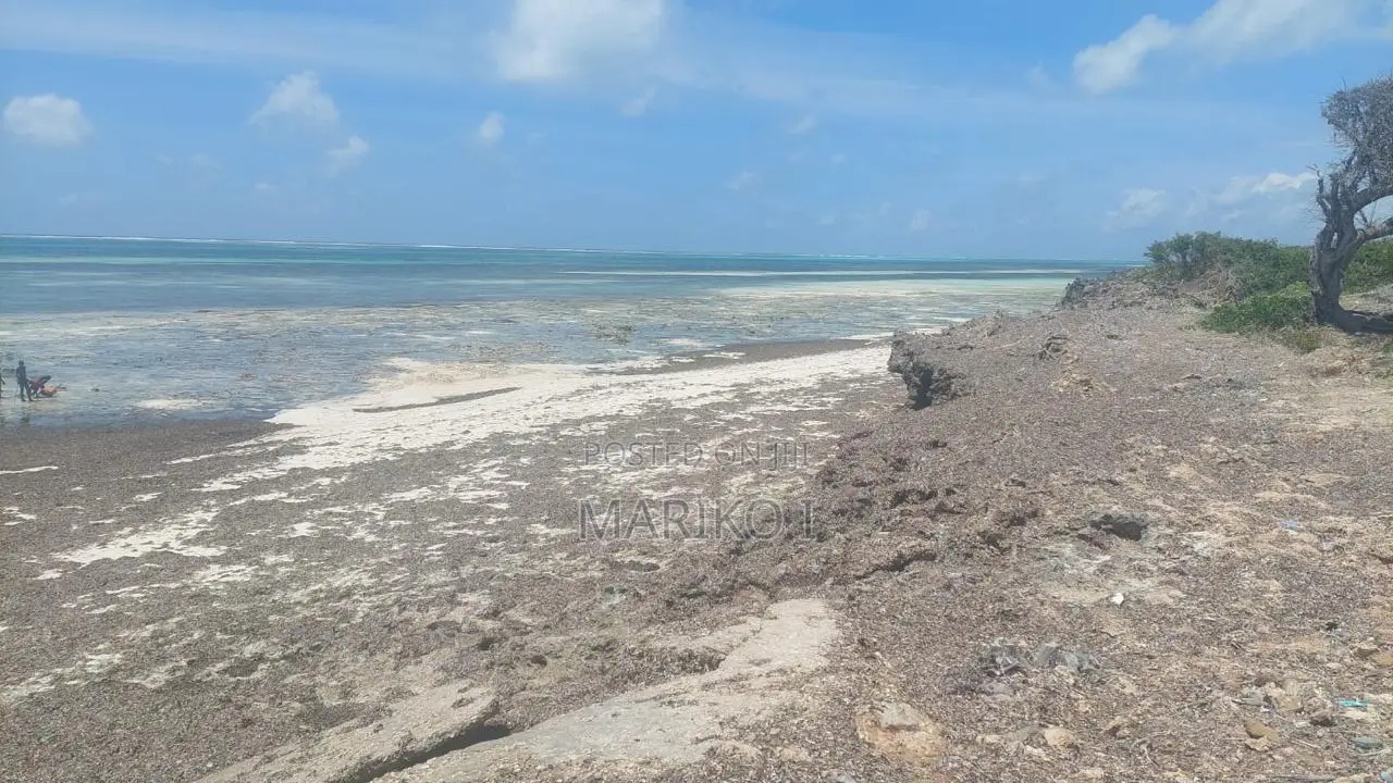 Beach Plot 1st-Row 7 Acres Roka