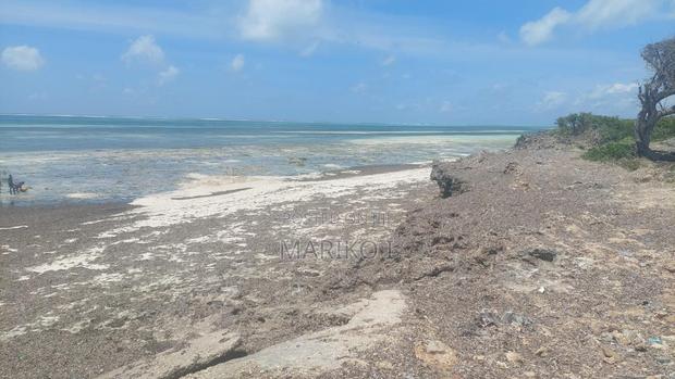 Beach Plot 1st-Row 7 Acres Roka - thumbnail 3