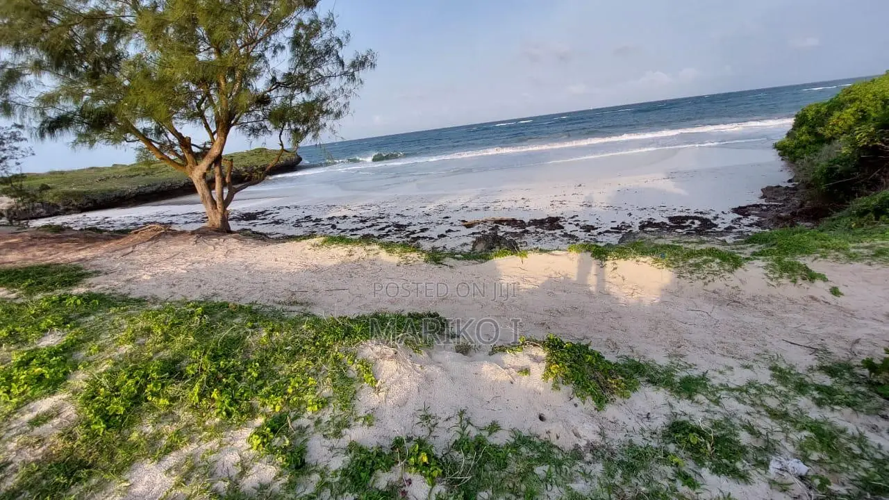 Beach Plot 1st-Row 7 Acres Roka