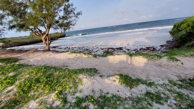 Beach Plot 1st-Row 7 Acres Roka - thumbnail 2