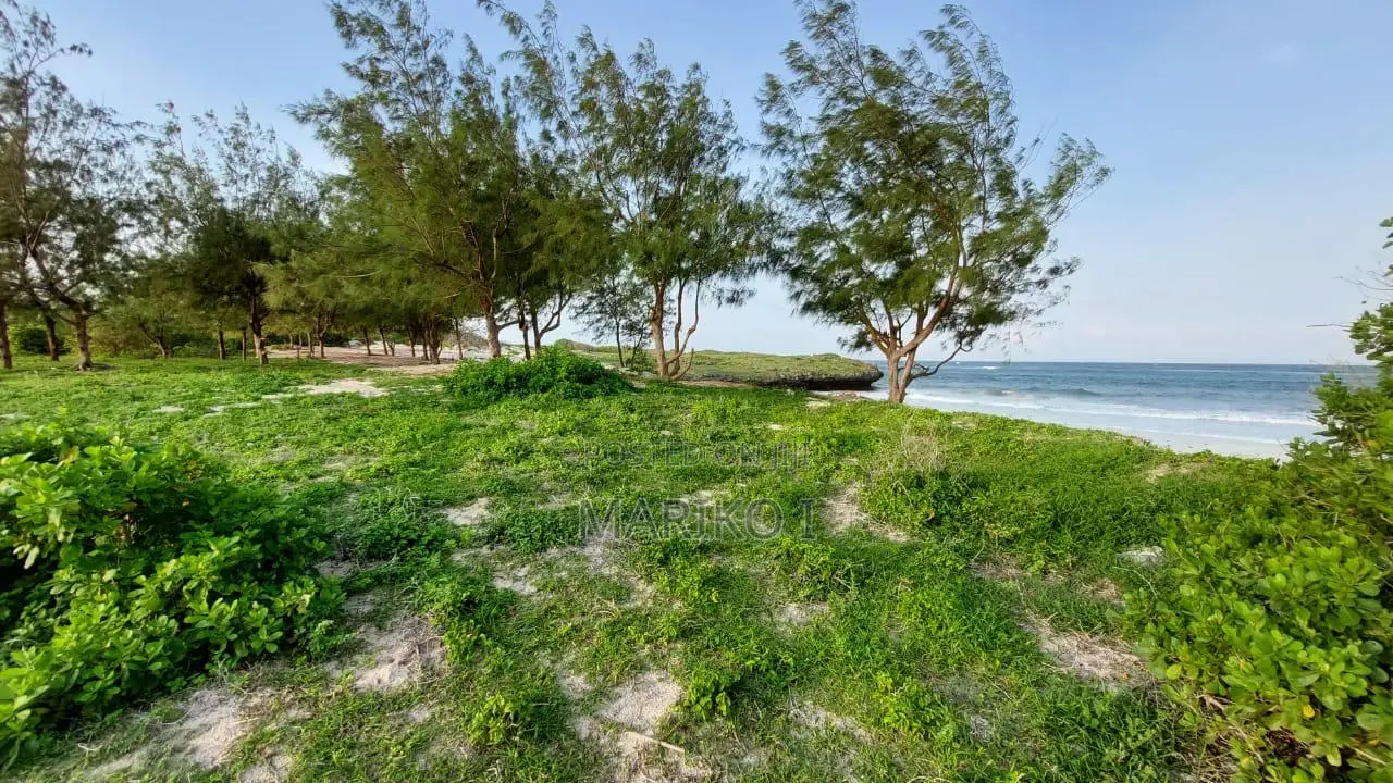 Beach Plot 1st-Row 7 Acres Roka