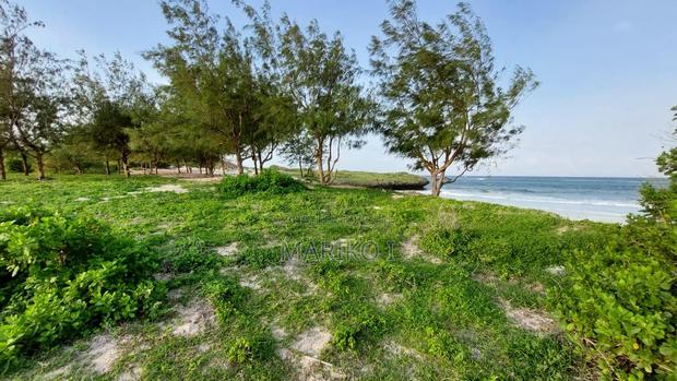 Beach Plot 1st-Row 7 Acres Roka