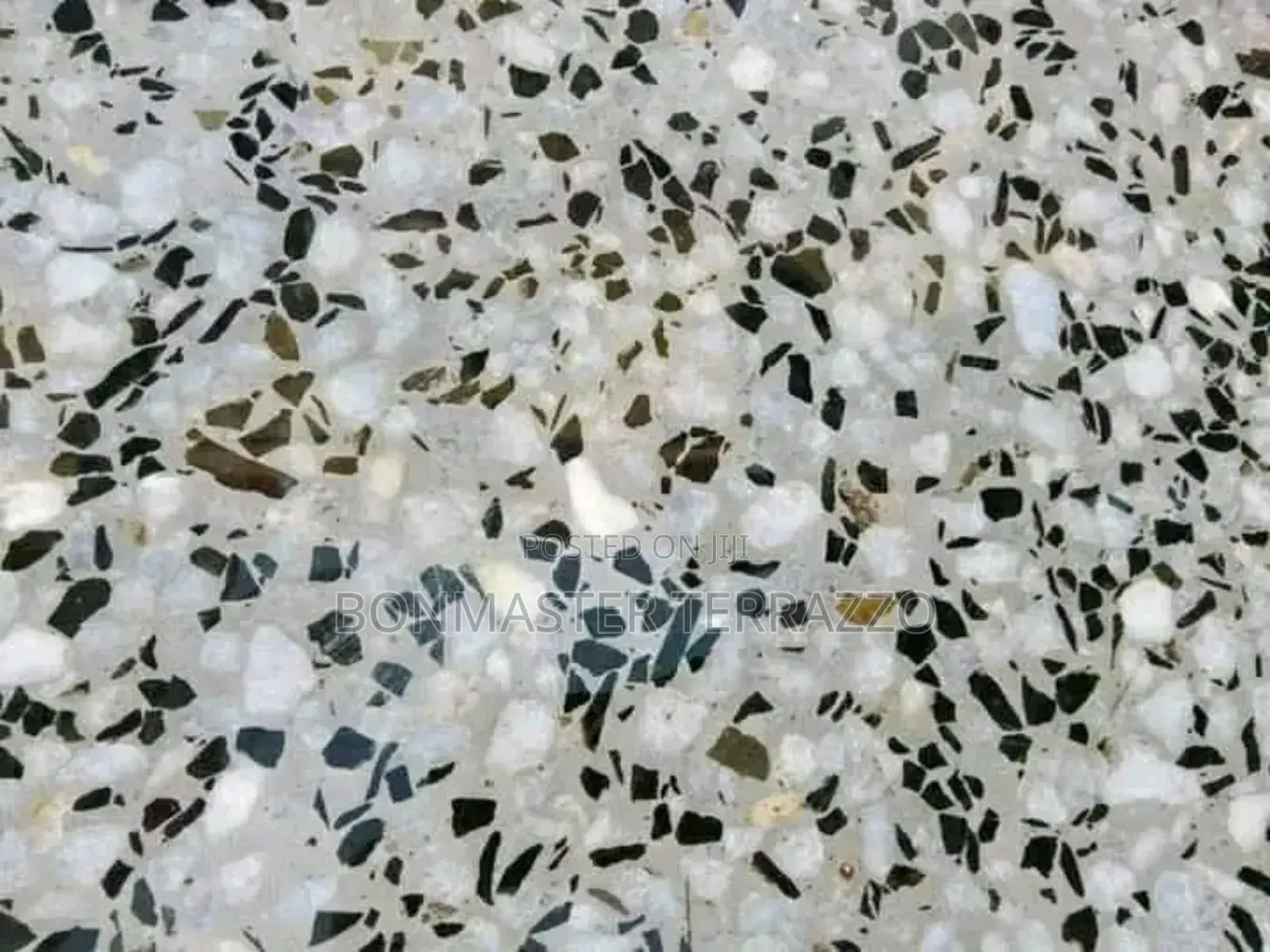 Master Terrazzo Floor 0373