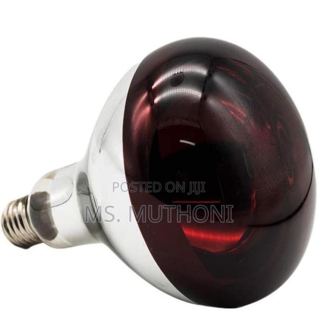 Red Infrared Heat Chicken Bulb
