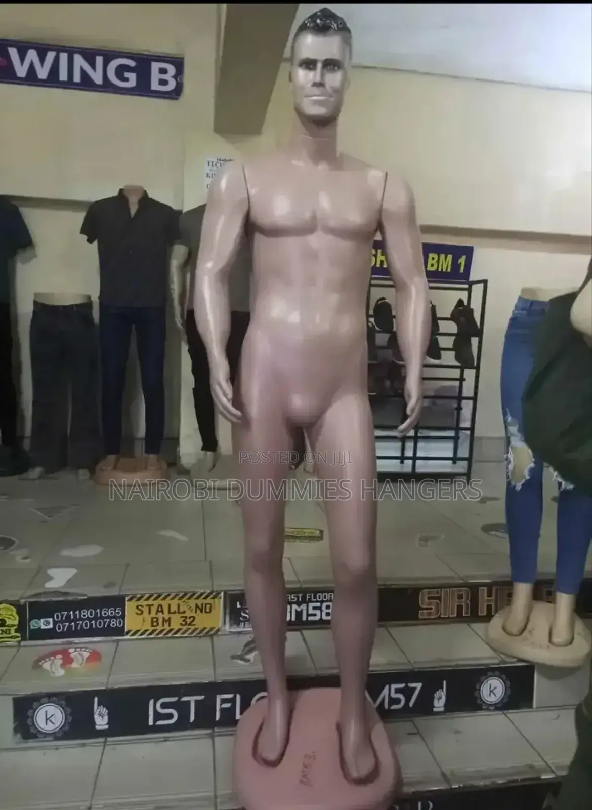 Male Mannequin
