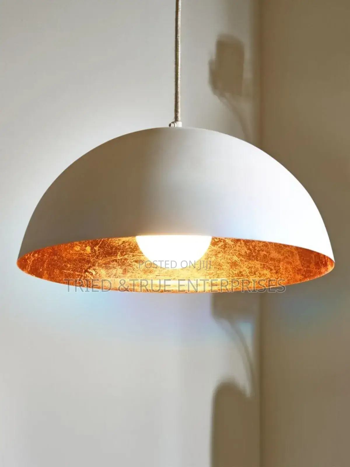 Semi Circular Pendant Light V8