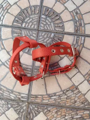 Safety Strap