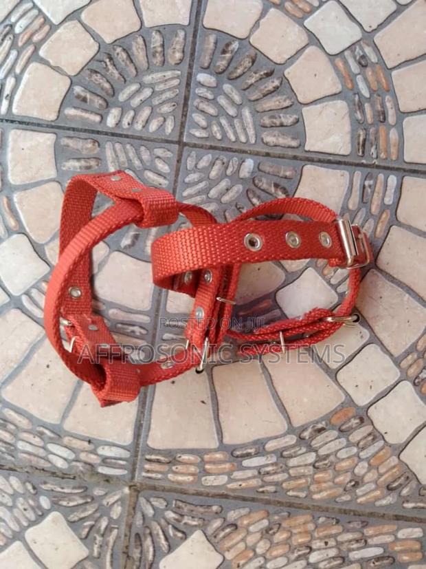 Safety Strap - main view