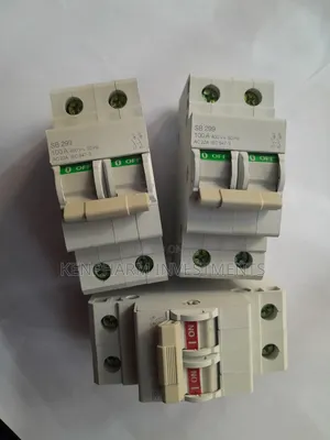 Double Pole 100 Amps