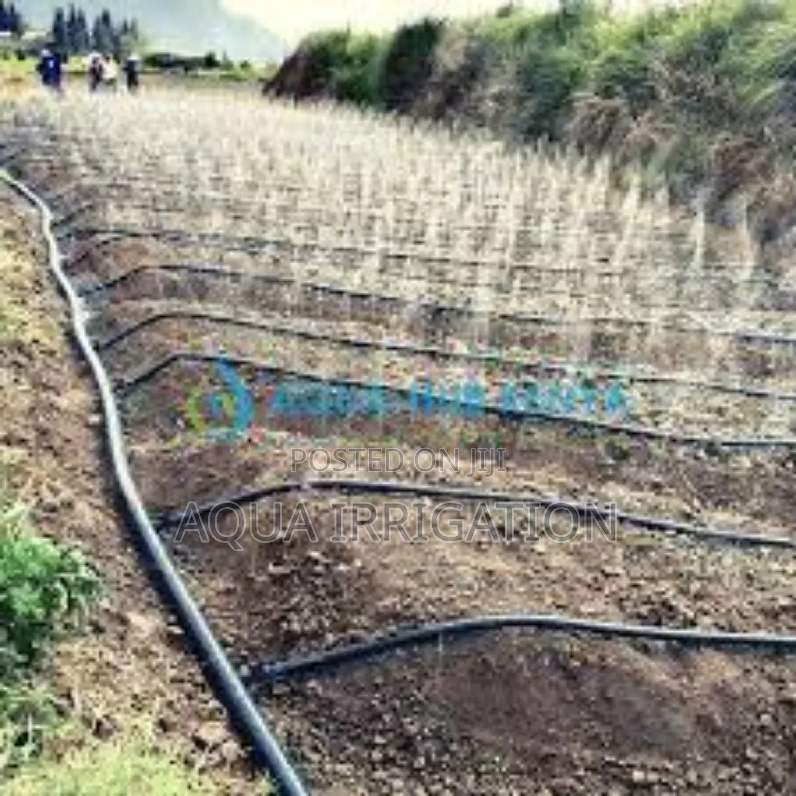 Rain Horse Irrigation