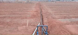 Rain Horse Irrigation
