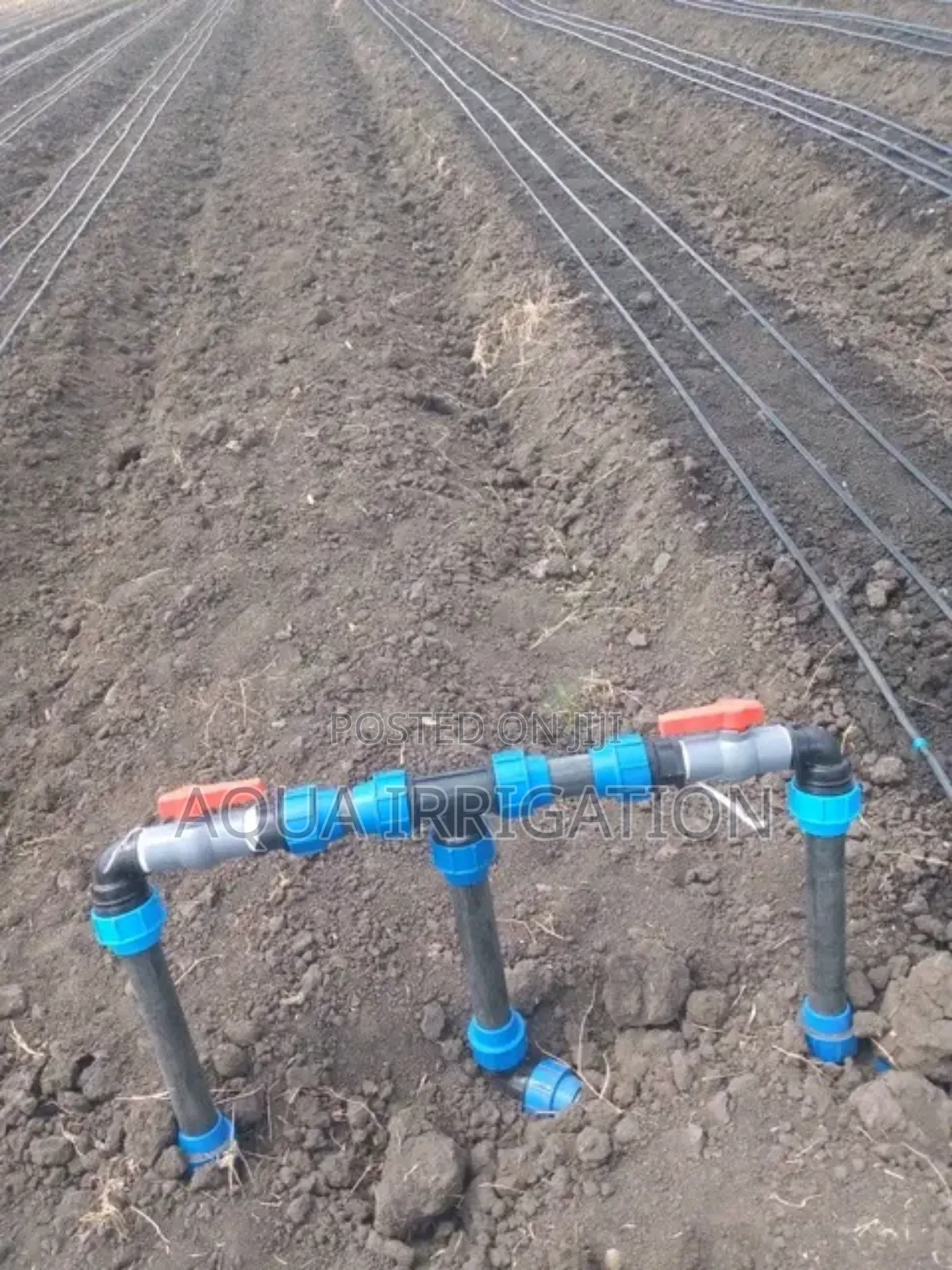 Rain Horse Irrigation