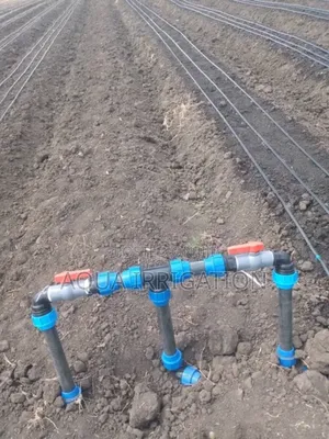 Rain Horse Irrigation