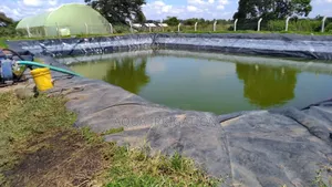 Fish Pond Liner
