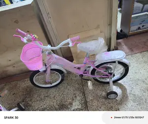 Gals Bike Size 16