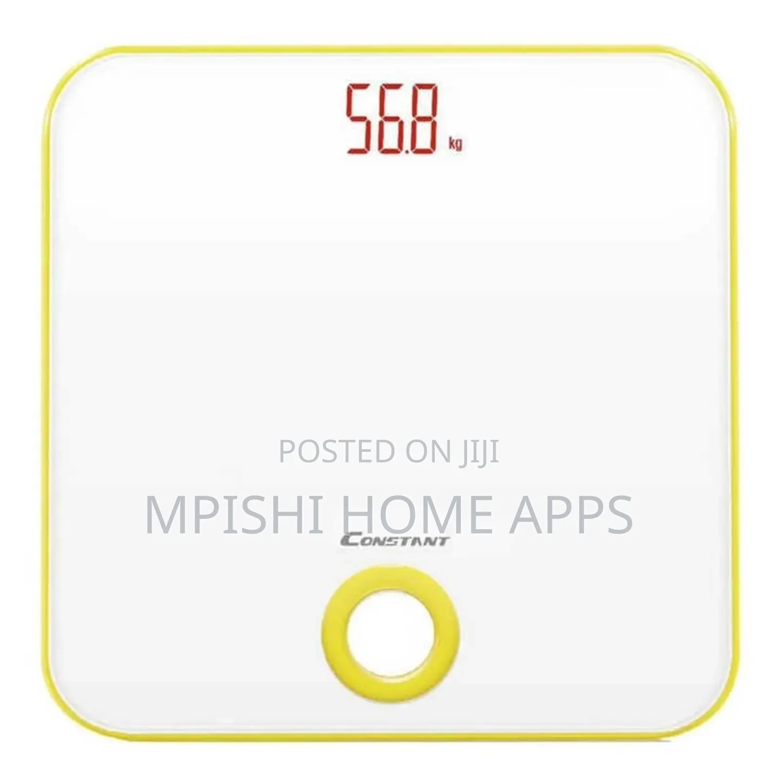 Electronic Personal Scale