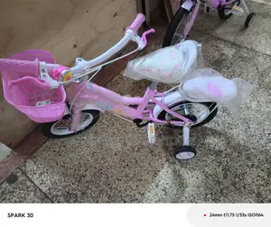 Kids Bike Size 16