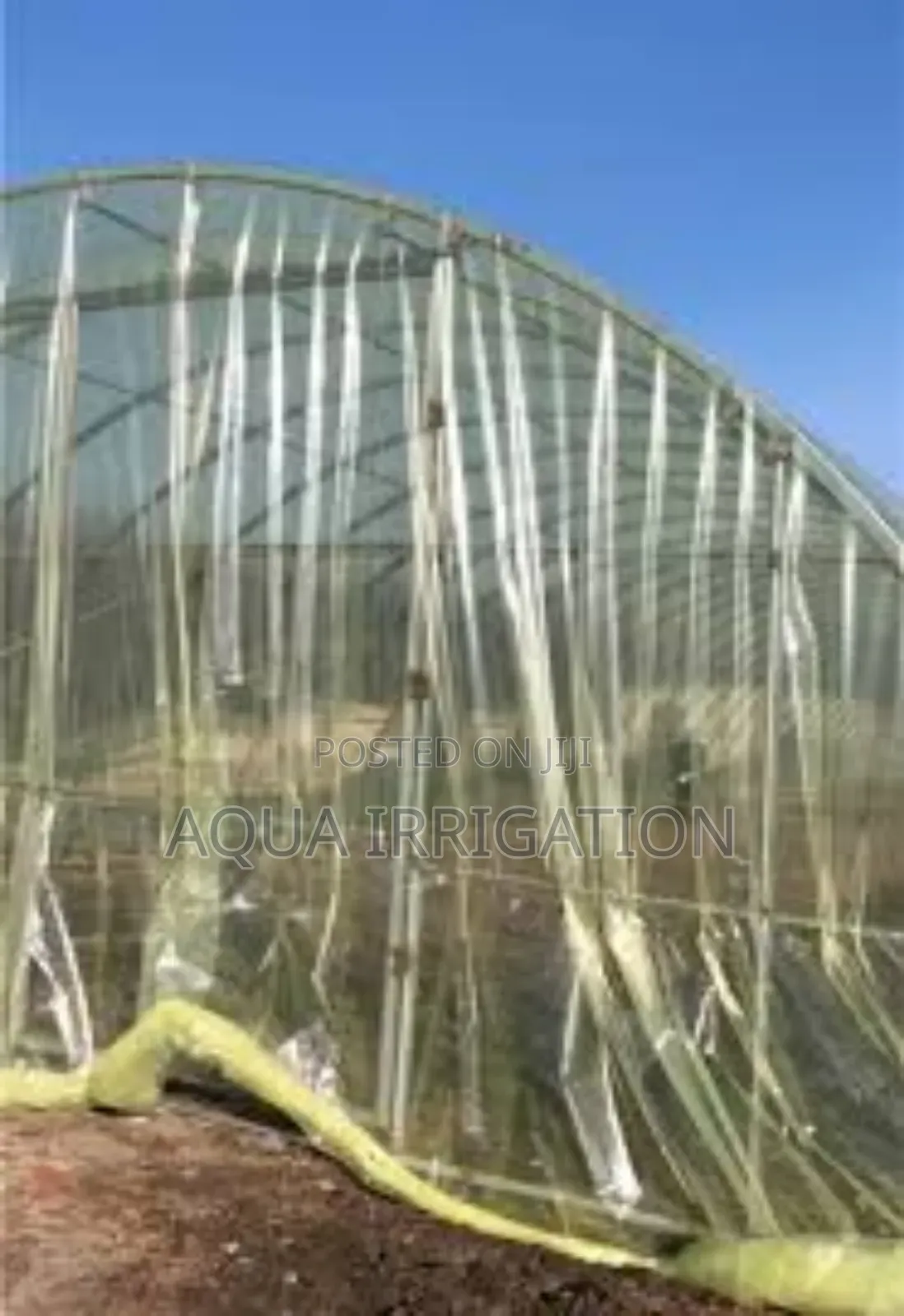 Yellow Greenhouse Cover