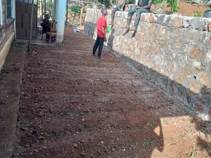 Stone Hedge Expert in Landscape Design