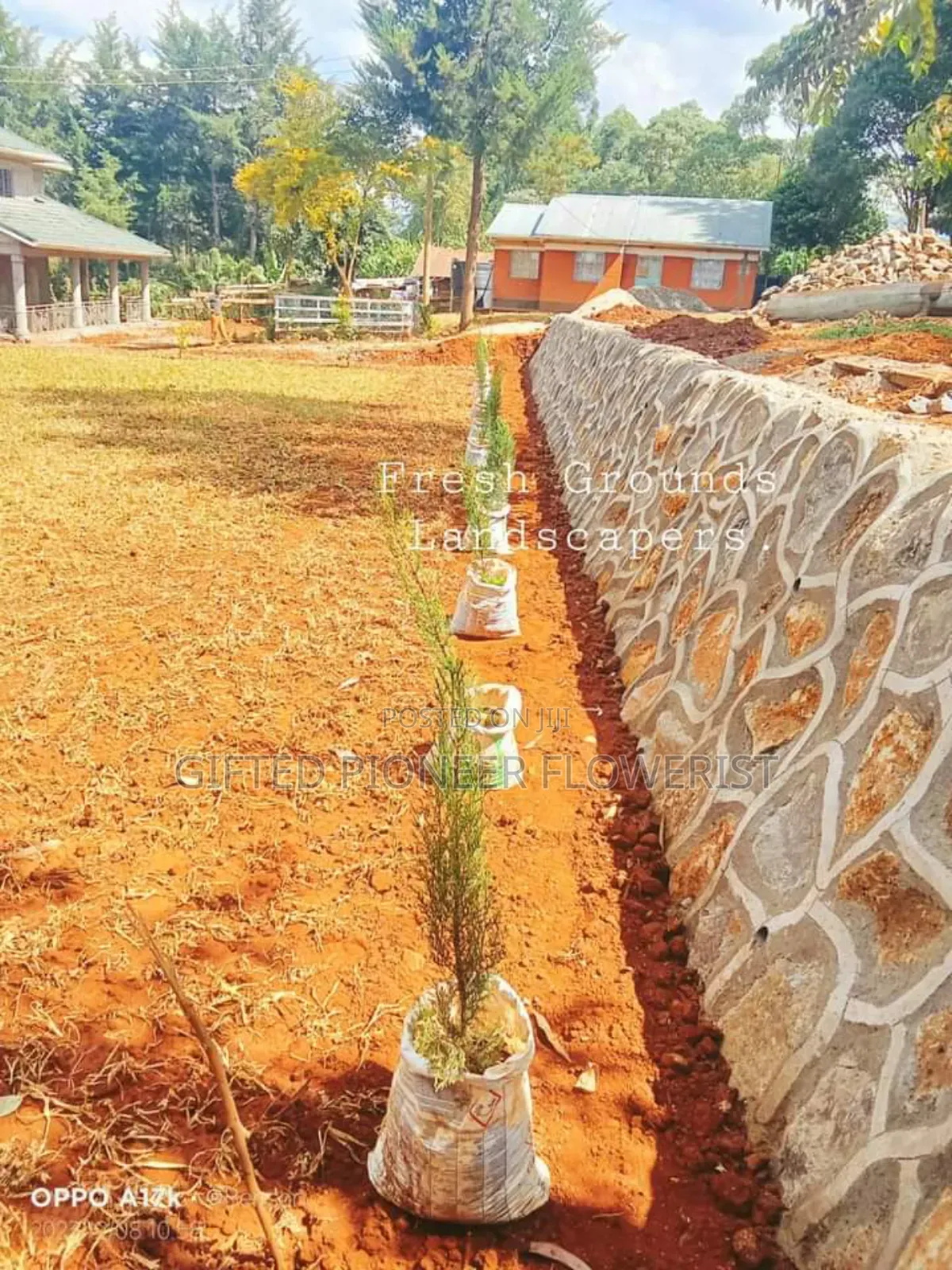 Stone Hedge Expert in Landscape Design