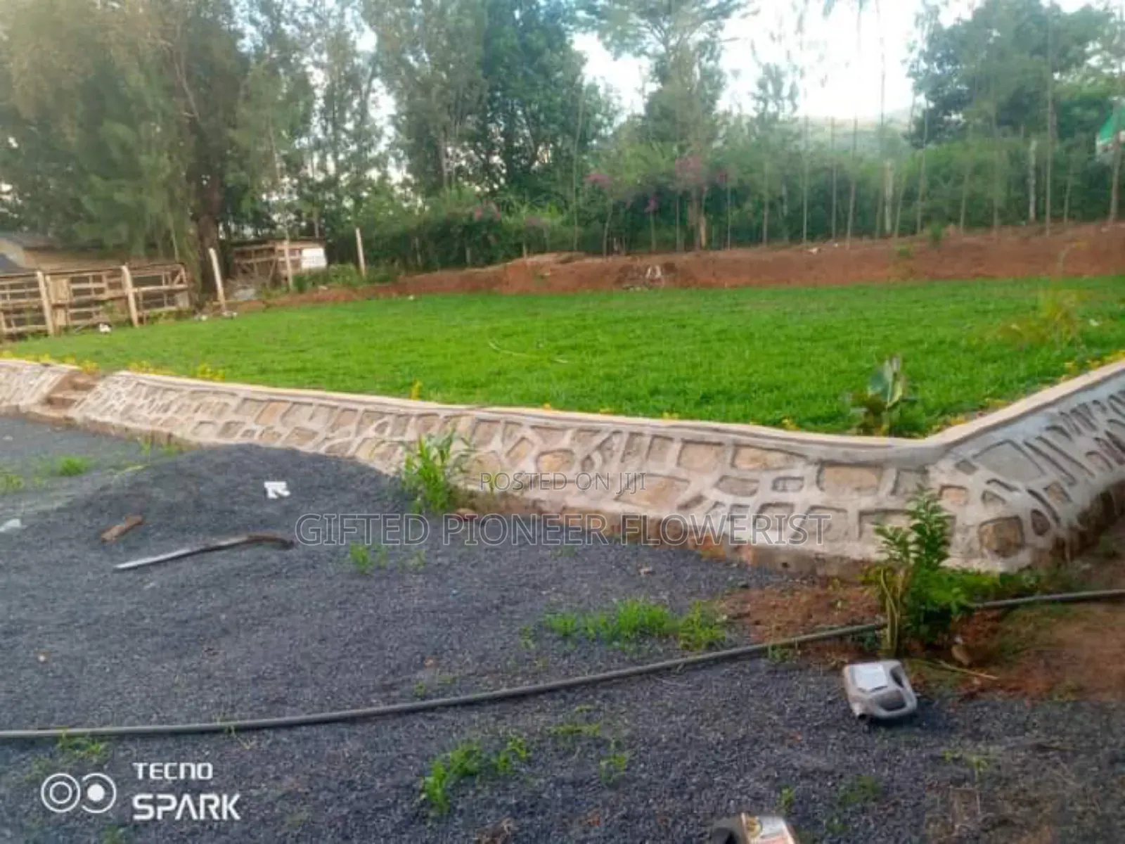 Stone Hedge Expert in Landscape Design