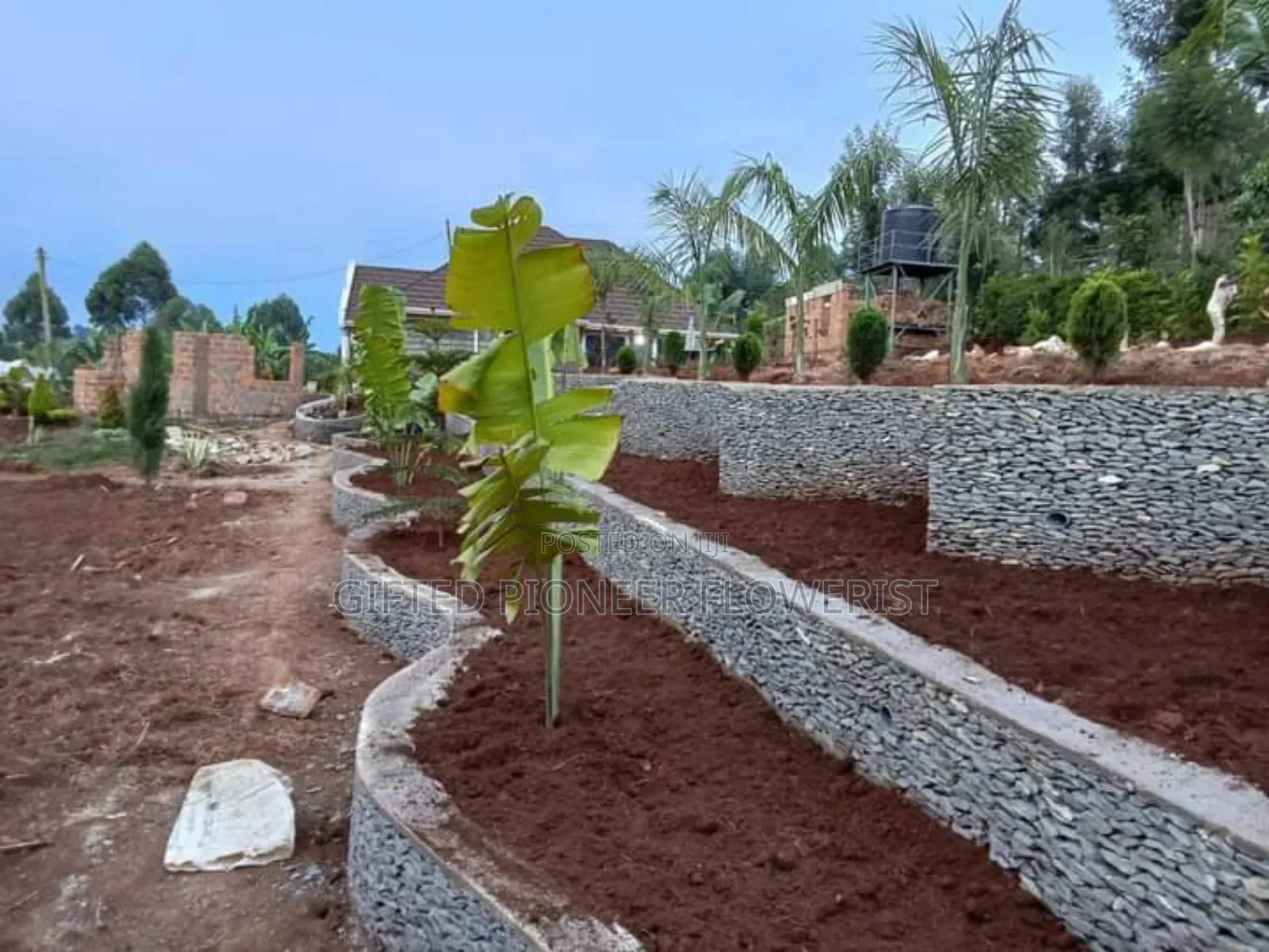 Stone Hedge Expert in Landscape Design