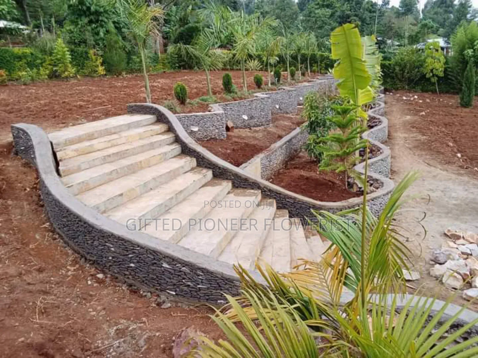 Stone Hedge Expert in Landscape Design