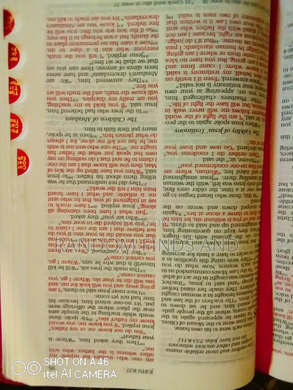 Pink Leather-Bound Holy Bible (Niv) (Used)