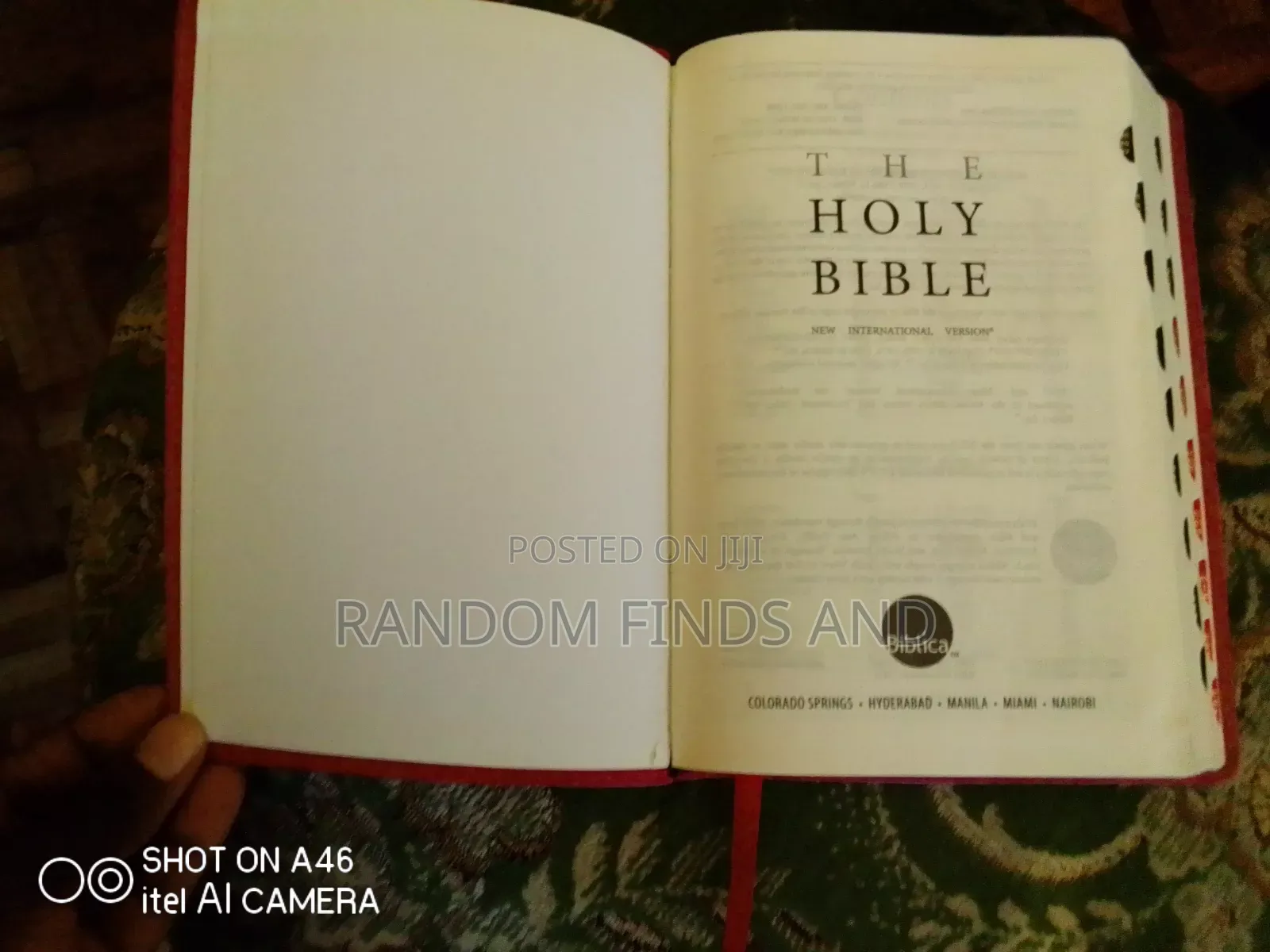 Pink Leather-Bound Holy Bible (Niv) (Used)