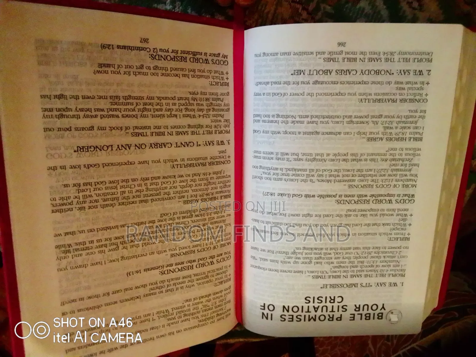 Pink Leather-Bound Holy Bible (Niv) (Used)
