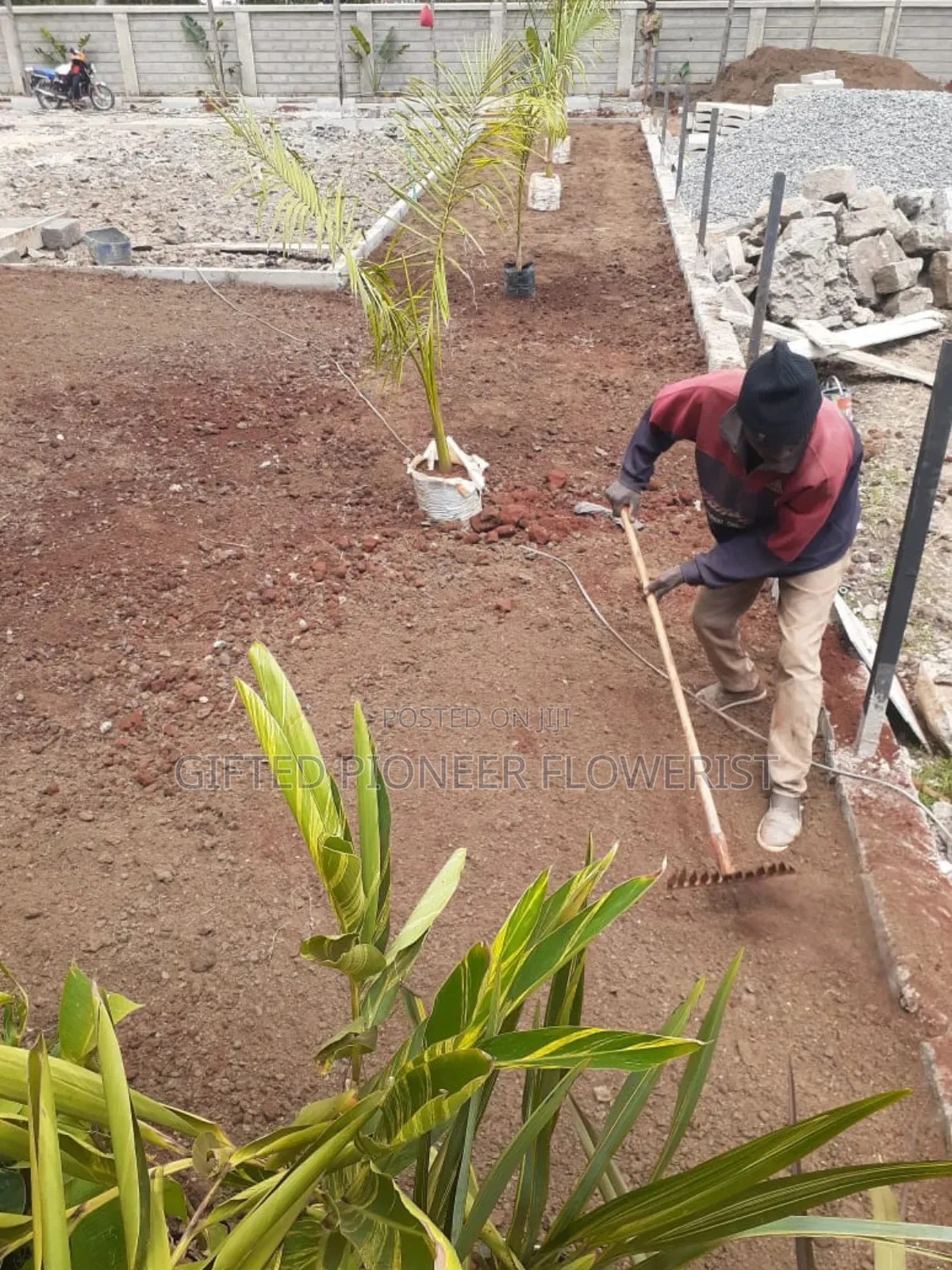 Stone Pitching/Landscapes