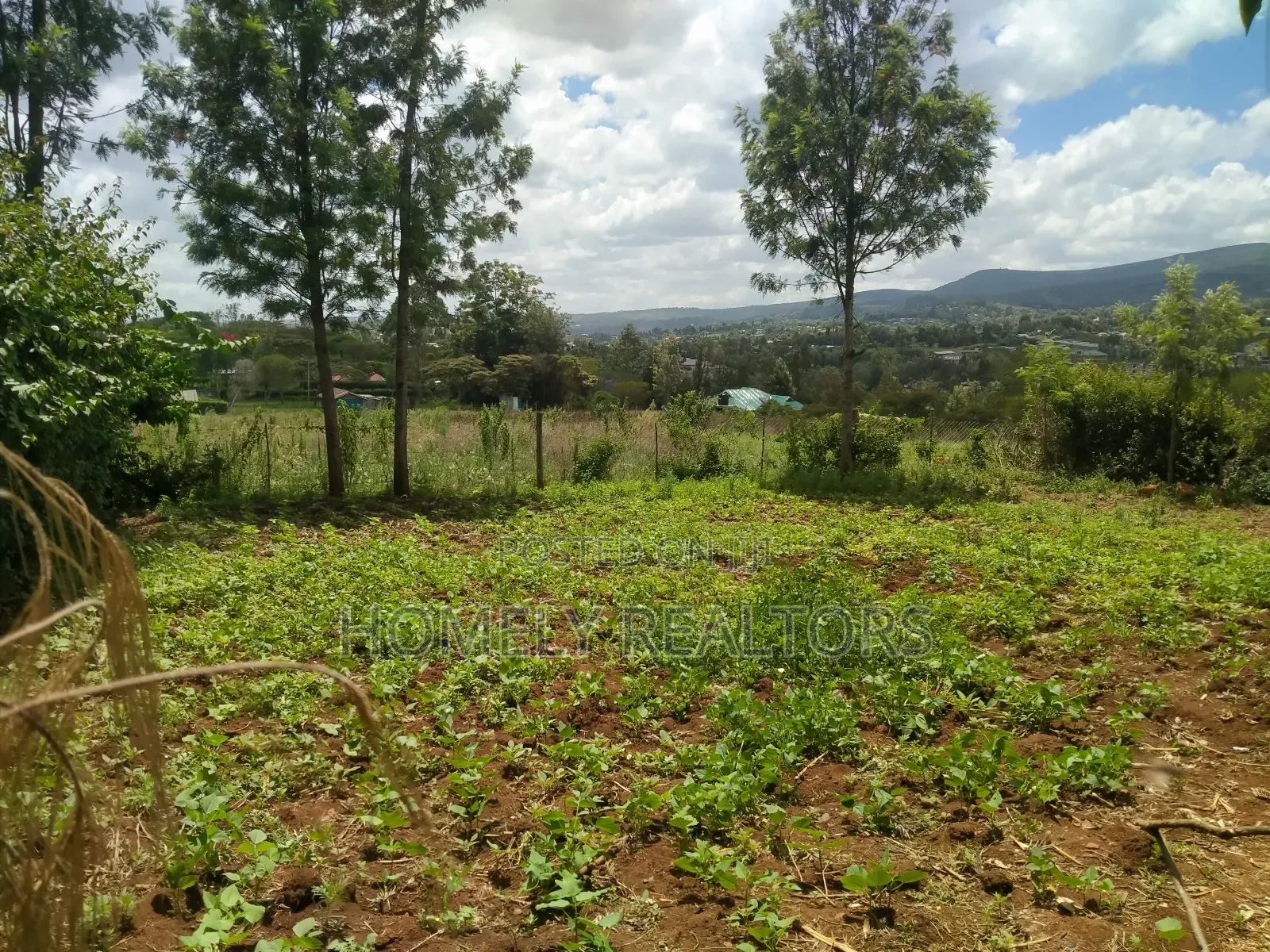 Residential 8th-Acre Red Soil Plot in Ngong Matasia Oloika