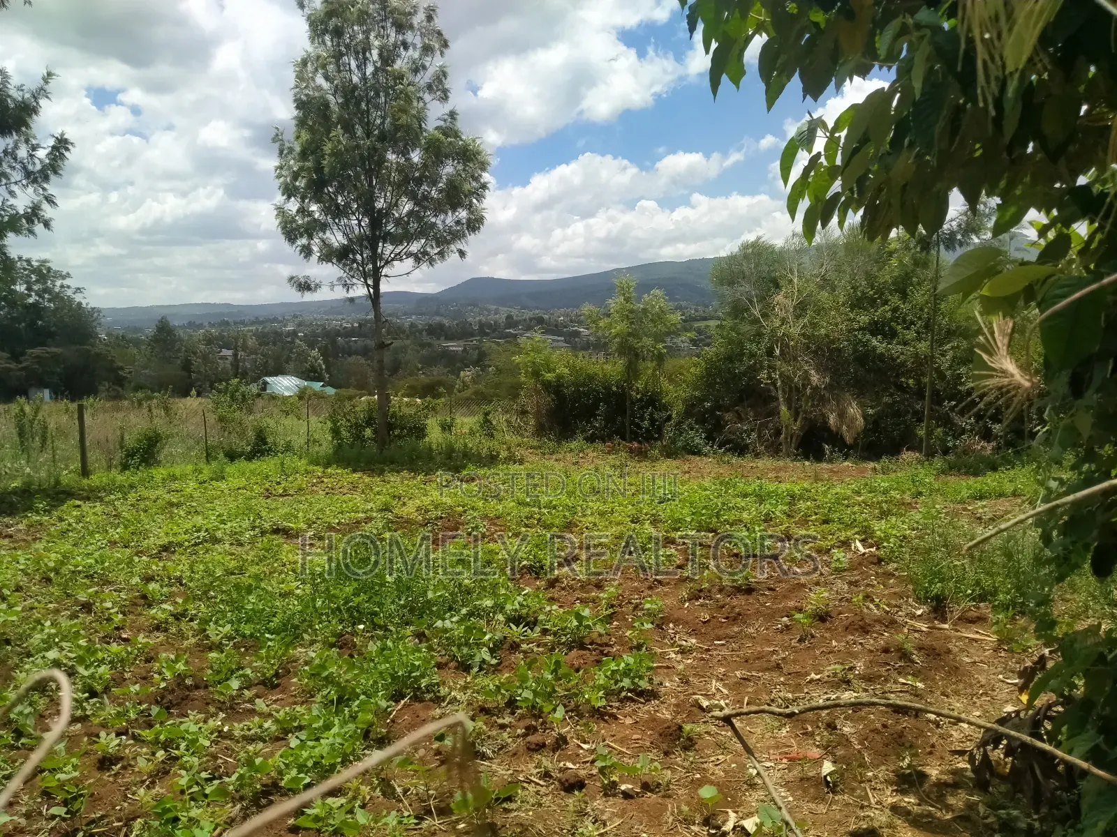 Residential 8th-Acre Red Soil Plot in Ngong Matasia Oloika