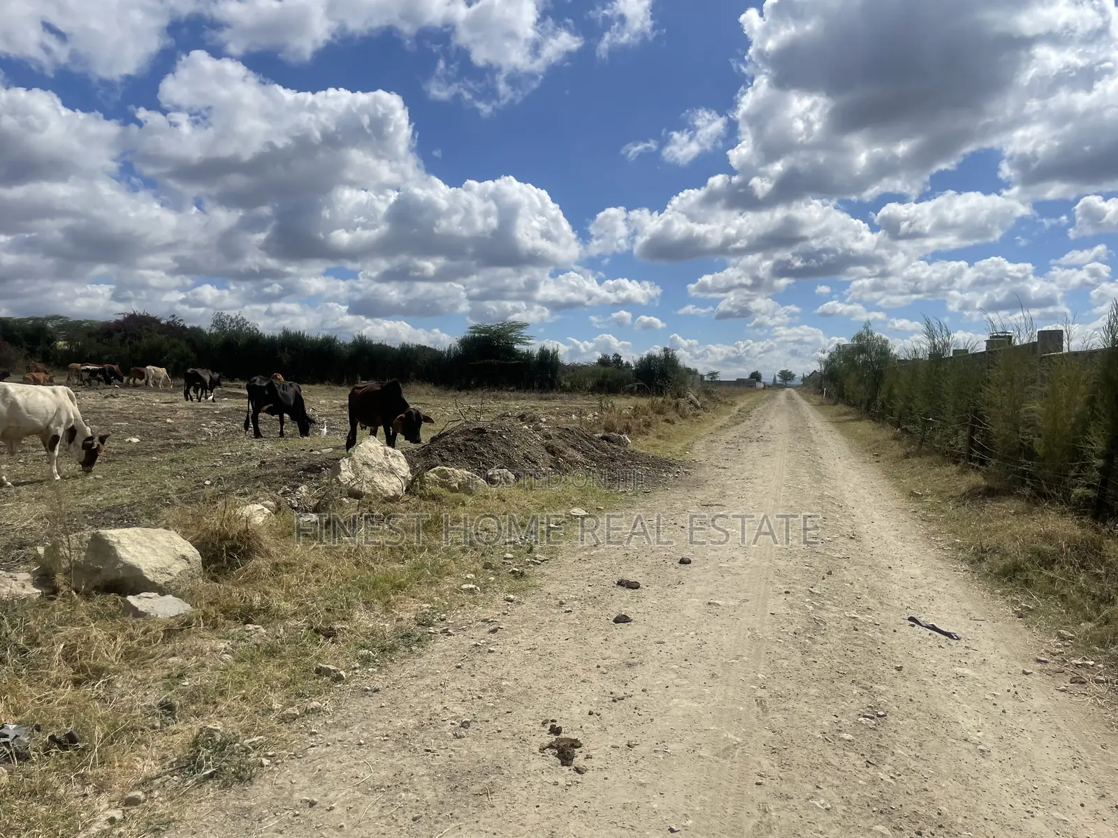 Plot for Sale