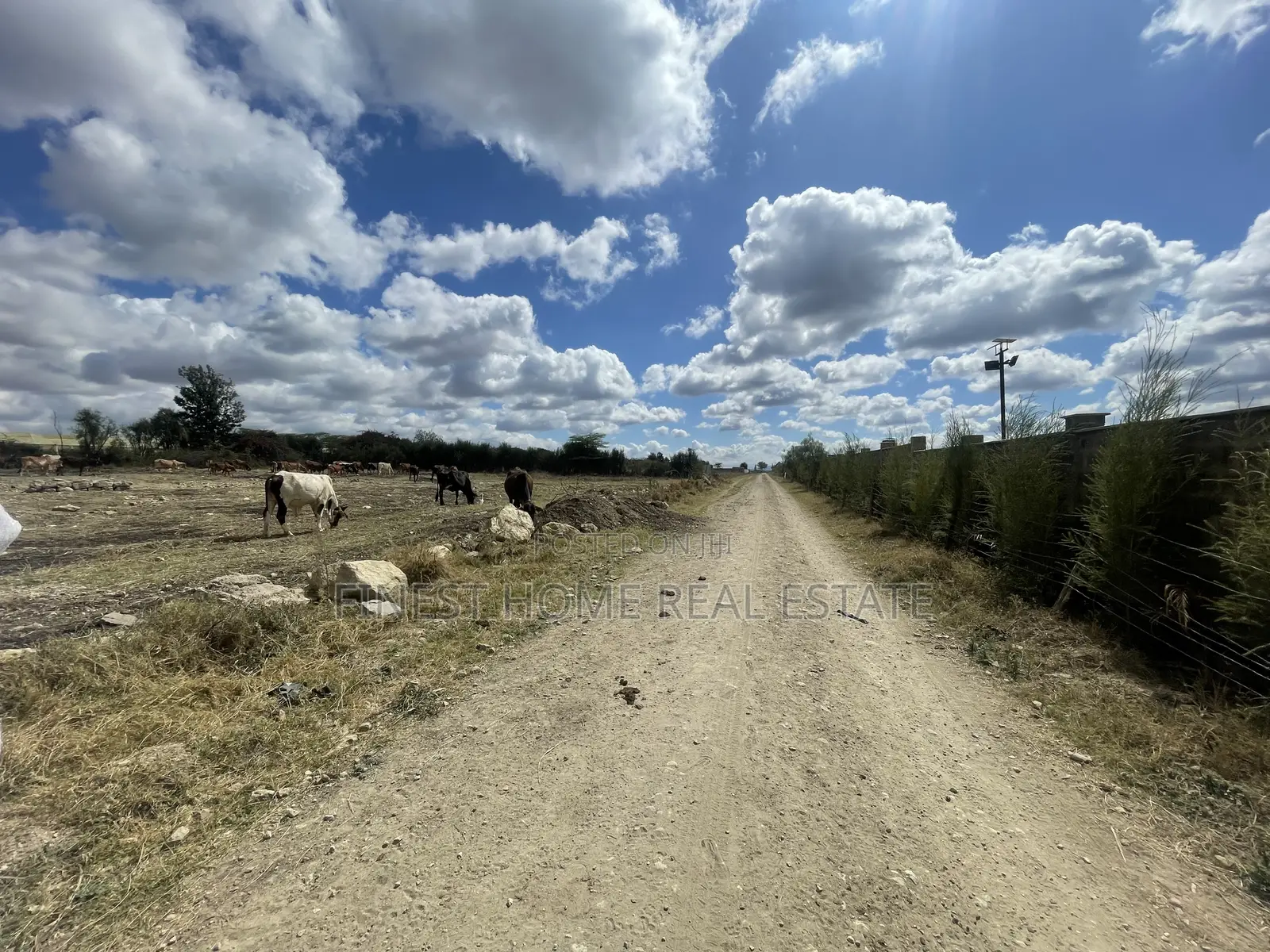 Plot for Sale