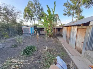 3bdrm Bungalow in University Way, Kiserian for sale