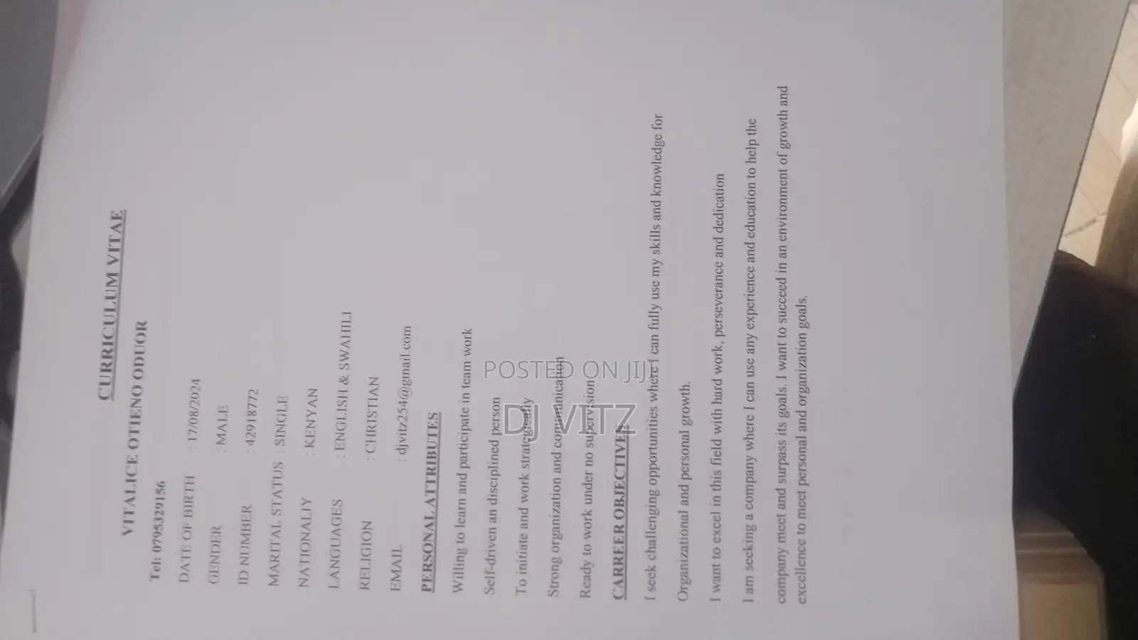 Academic Writing CVs and Digital Marketing