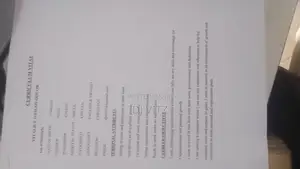 Academic Writing CVs and Digital Marketing
