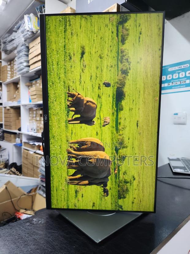 Dell P2319H 23.8-Inch Full HD LCD Monitor