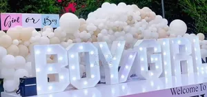 Boy or Girl Gender Reveal Celebration Package