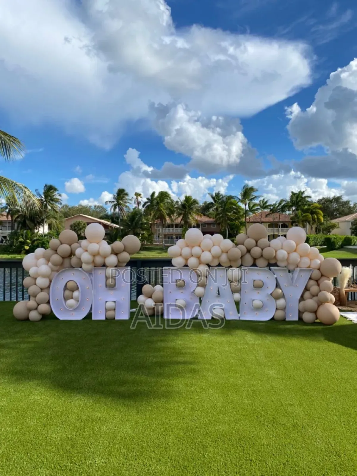 Boy or Girl Gender Reveal Celebration Package