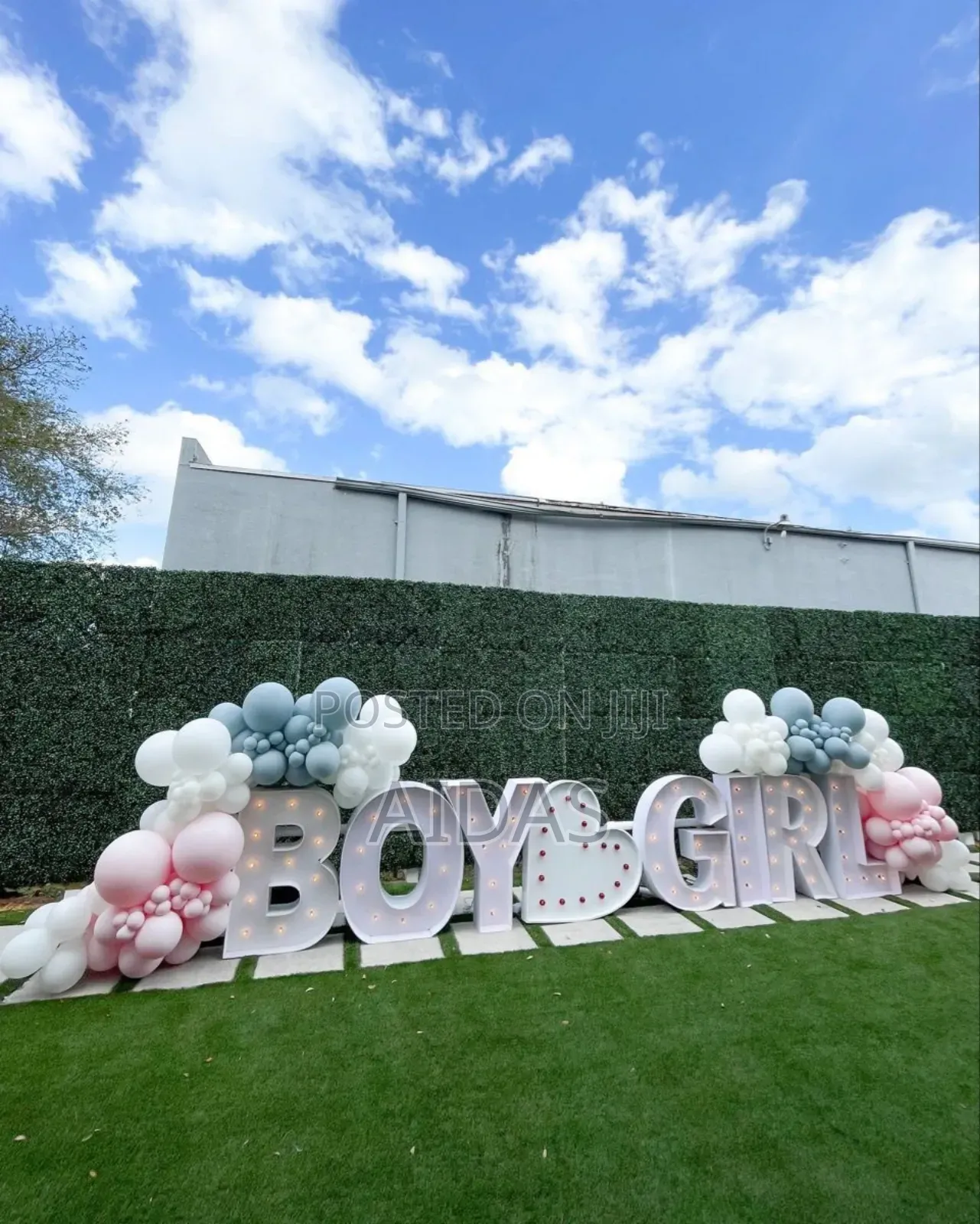 Boy or Girl Gender Reveal Celebration Package