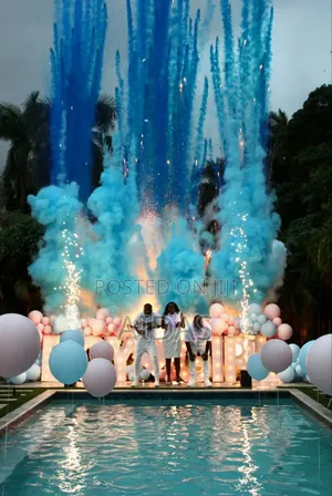 Boy or Girl Gender Reveal Celebration Package