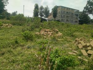 Eighth Acre Plot in Ngong, Vet. Has a Nice View and Red Soil - thumbnail 2