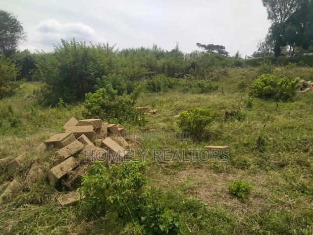 Eighth Acre Plot in Ngong, Vet. Has a Nice View and Red Soil - thumbnail 4