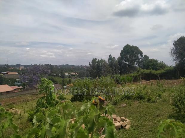 Eighth Acre Plot in Ngong, Vet. Has a Nice View and Red Soil - thumbnail 6