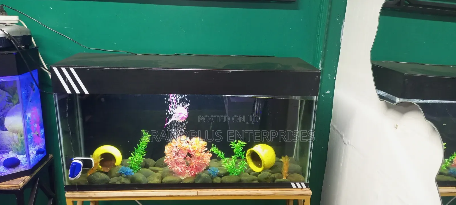 3ft Aquarium