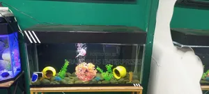 3ft Aquarium