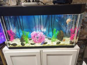 Fish Aquarium - main view