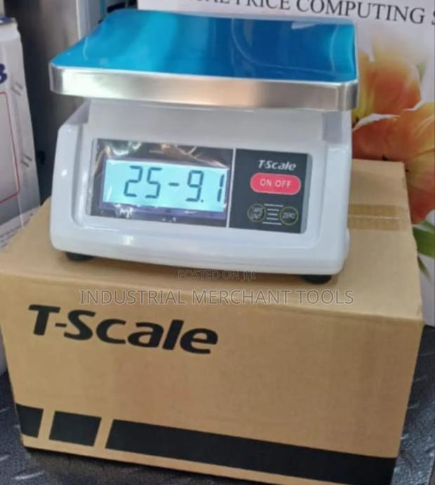 Accurate T-Scale - main view